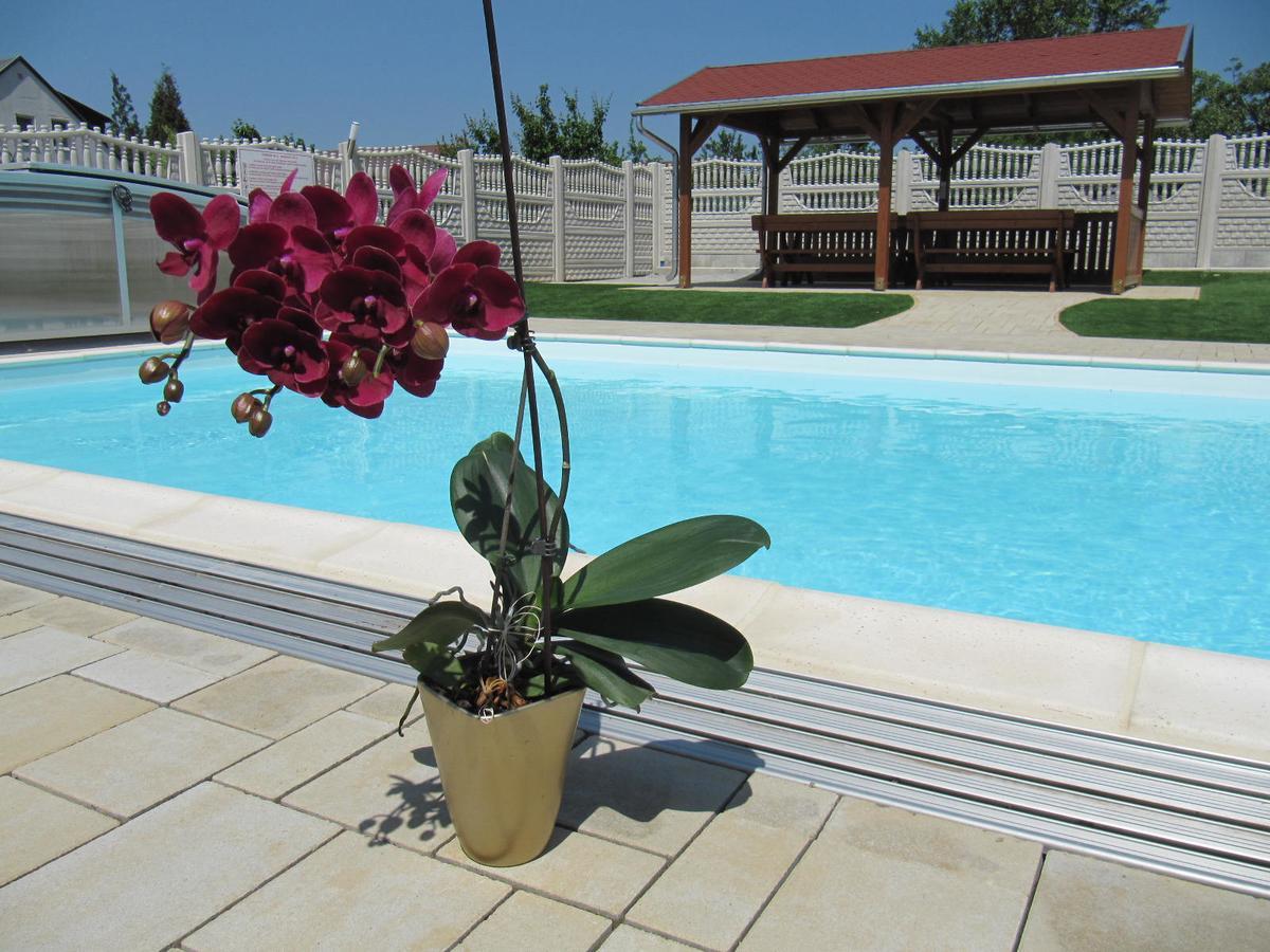 Villa Jaeger Vonyarcvashegy Esterno foto